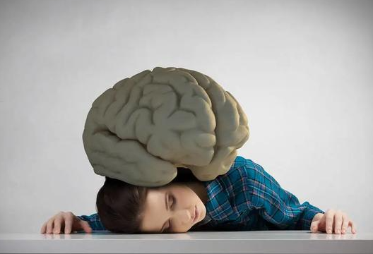 西安市人力資源和社會保障局開通社保卡在線預(yù)約服務(wù)